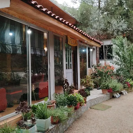 Bovilla Canyon Тирана