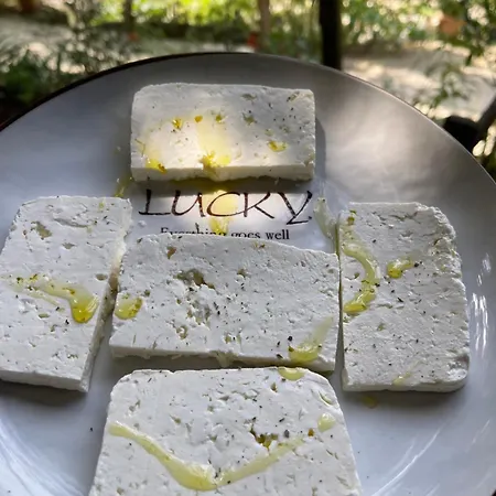 Hotel Bovilla Canyon Tirana