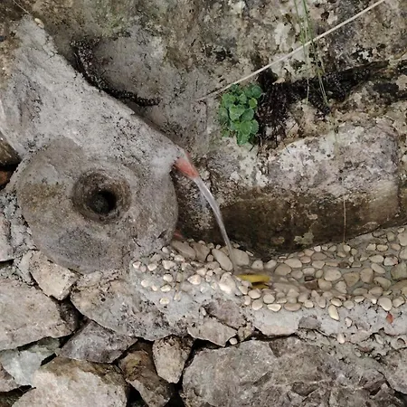 Bovilla Canyon Dajti