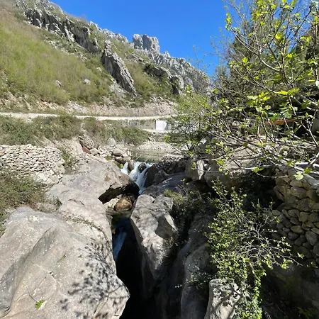 酒店 Bovilla Canyon 3*