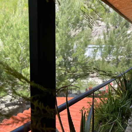 Bovilla Canyon 3* 地拉那